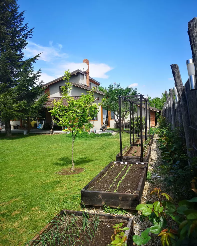 Dan Bordeianu - imagini casă Brănești (11)