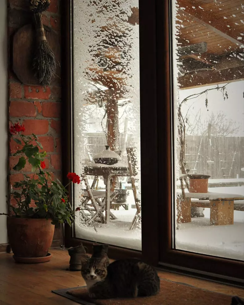 Dan Bordeianu - imagini casă Brănești (5)