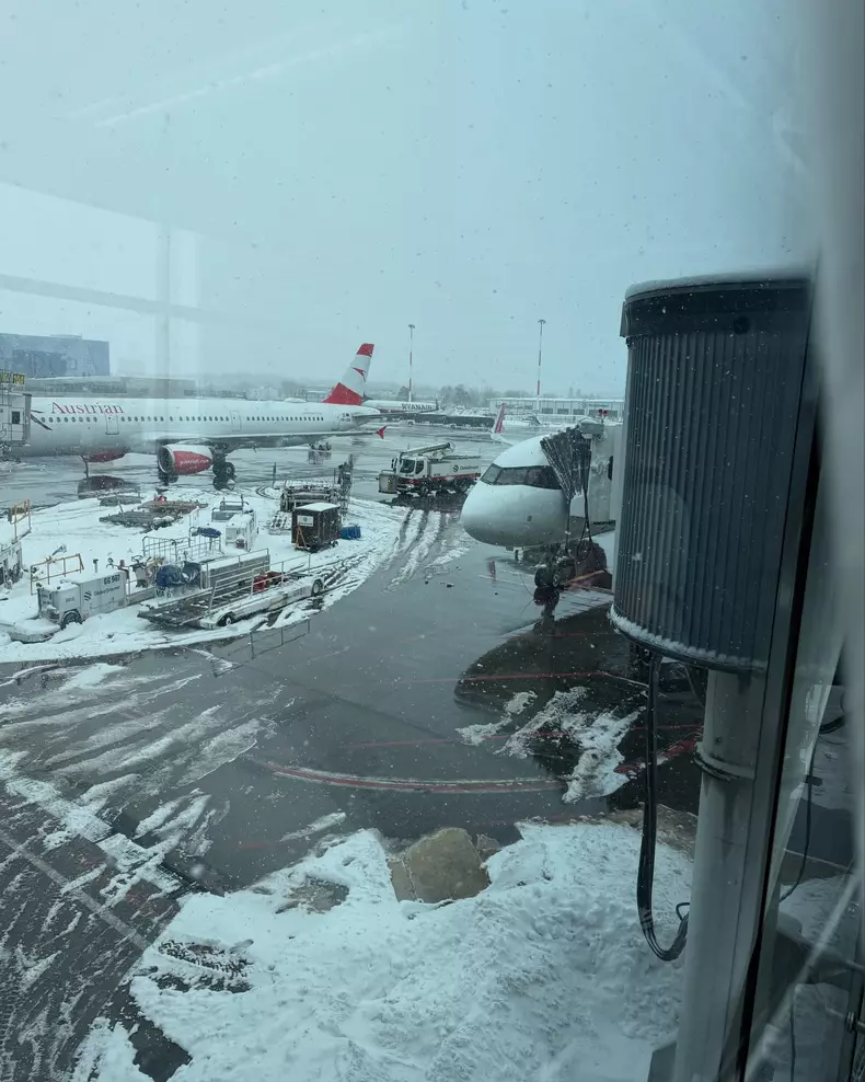 gabriela cristea tavi clonda aeroport 6