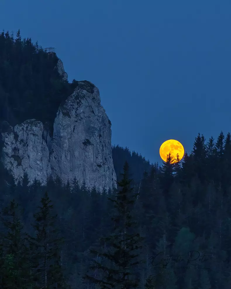 luna-capsuna-romania-foto-constantin-rotar2