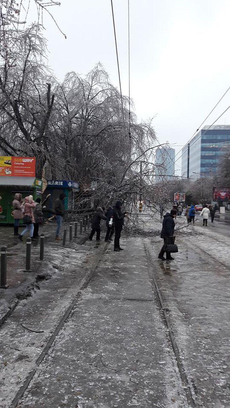 Vremea Face Ravagii Zeci De Copaci Doboraţi De Vant In Bucuresti
