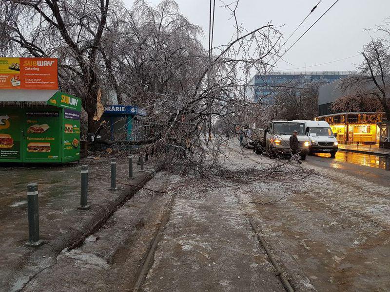 Vremea Face Ravagii Zeci De Copaci Doboraţi De Vant In Bucuresti