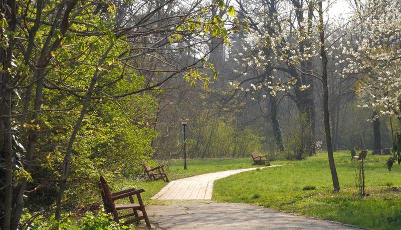 Imagini Spectaculoase De Primăvară Din Grădina Botanică București