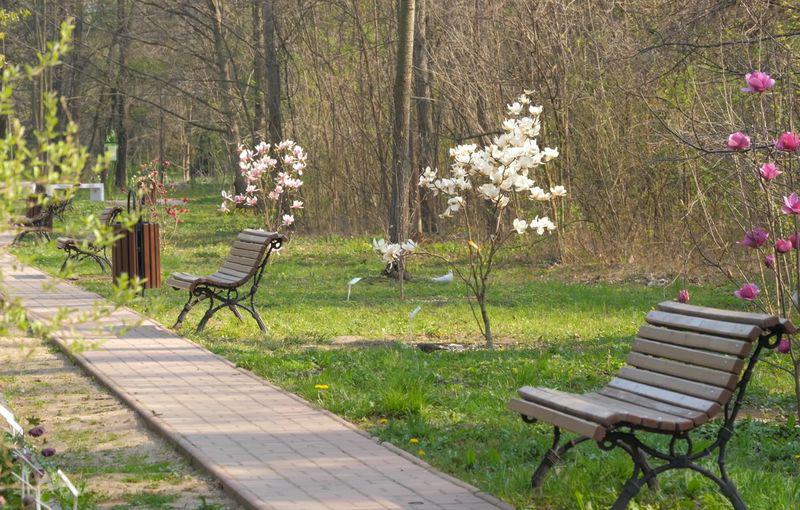 Organizare Gradina Botanica Bucuresti
