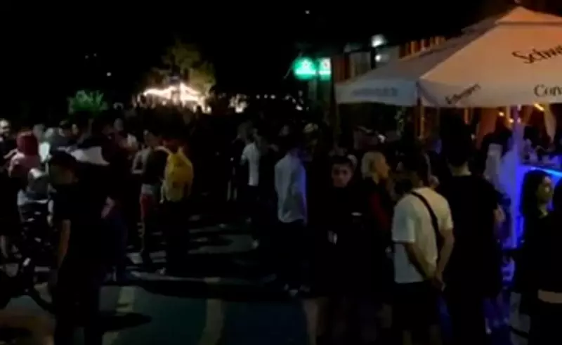 VIDEO Cine sunt proprietarii terasei din Herăstrău unde a avut loc petrecerea cu DJ: au restaurante numai în zone ”de fițe” din București