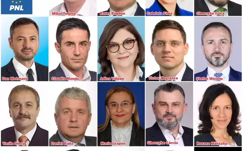 VIDEO Cine sunt cei 33 de europarlamentari pe care îi trimite România la Bruxelles. Printre ei, Șoșoacă, independentul Nicu Ștefănuță, dar și grei ai PSD și PNL