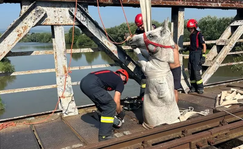 VIDEO | Cal blocat în structura unui pod metalic, salvat de pompierii din Alba