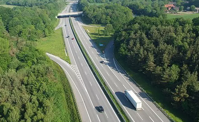 VIDEO Muncitorii români care au construit un spital în Danemarca au primit de la angajatorul lor trei porci tăiați, în loc de salarii
