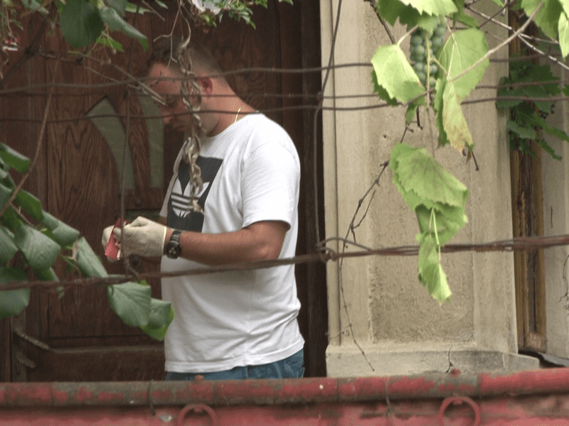 vlcsnap-2427-08-11-06h55m04s012