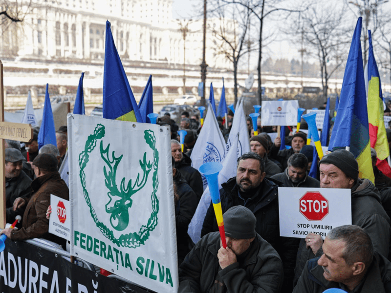 WhatsApp Image 2025-02-26 at 11.41.31