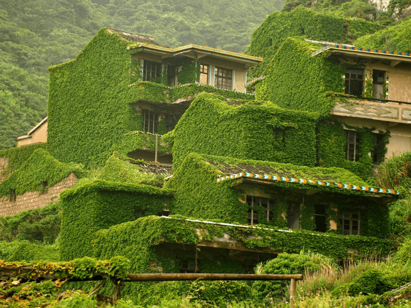 Satul pescăresc abandonat din China, situat pe insula Gouqi-1