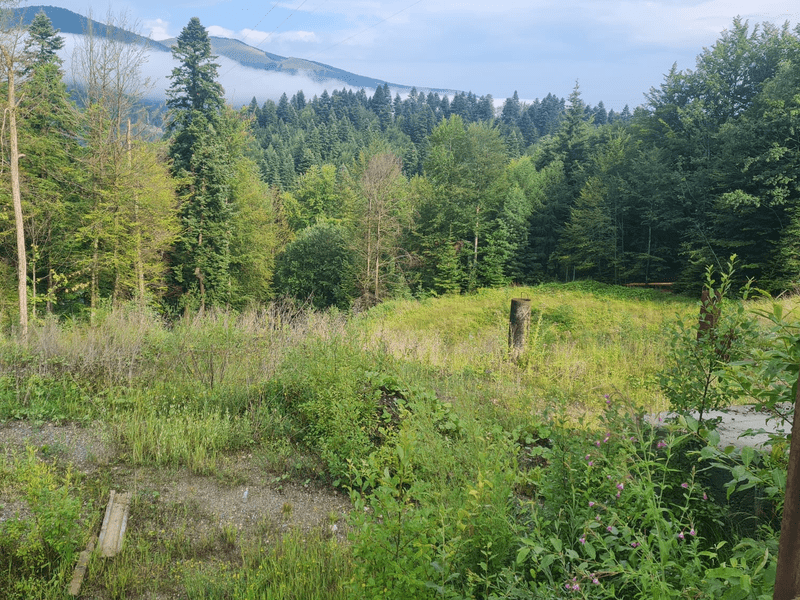 nordis sinaia 2