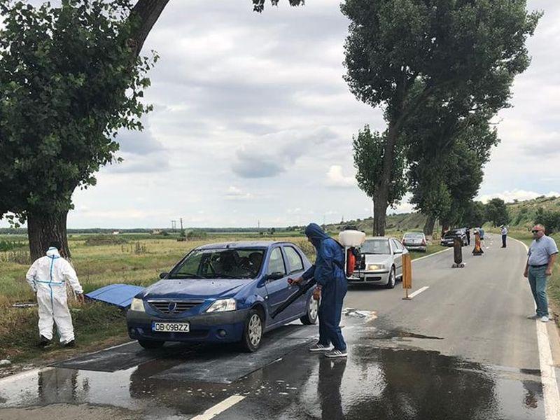 Stare De Alertă In Județul Tulcea Din Cauza Pestei Porcine Libertatea