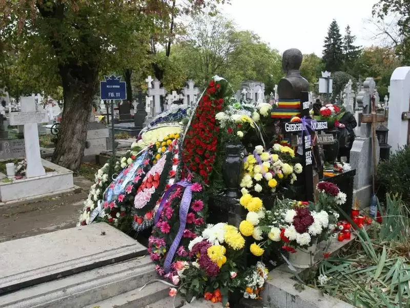dolanescu-1.jpg