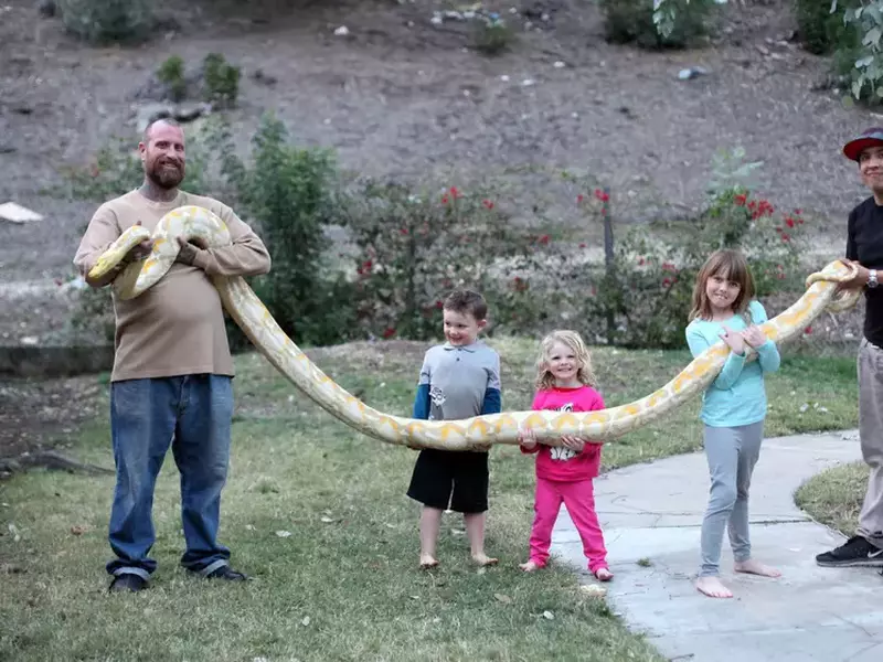 Reptile-loving Dad Lets His Children Play with a 19-foot Python