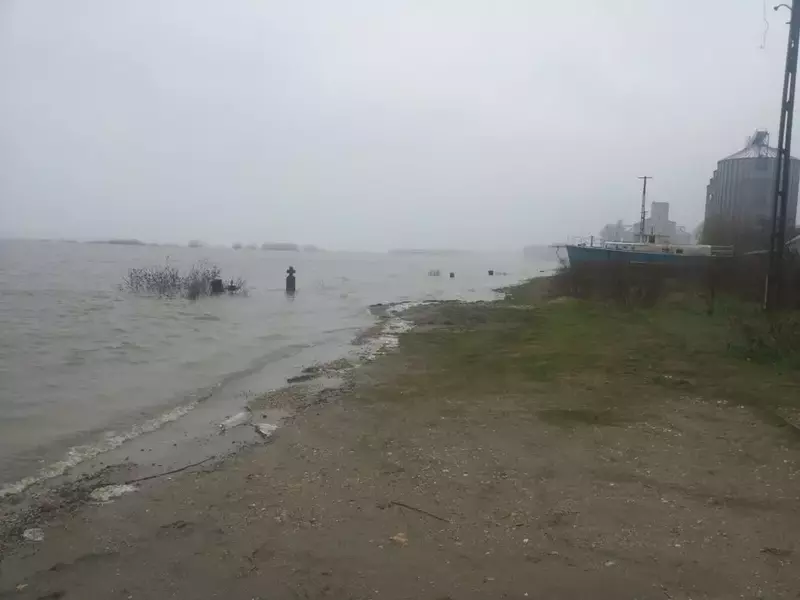 Dunărea, sub cod portocaliu în judeţul Olt! Sute de hectare de păşune şi pădure sunt inundate! GALERIE FOTO