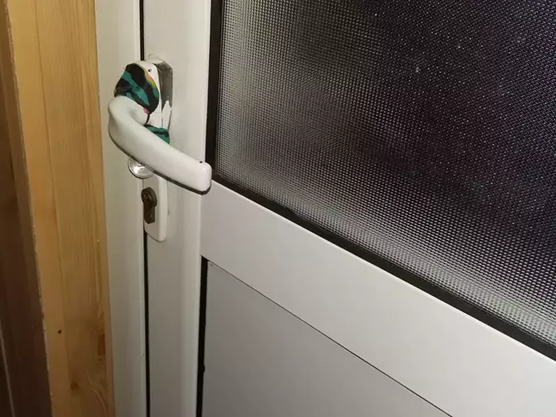 usa cu sigliu la scoala lapte infestat (44)