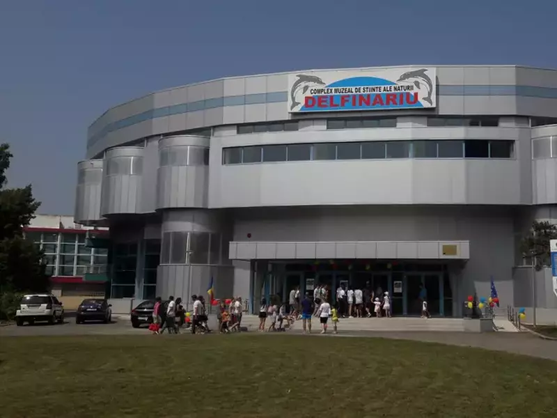 delfinariu (5)