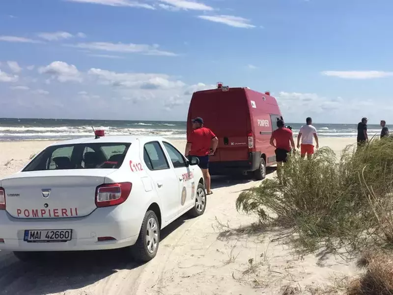 11356f3f-1411-446f-9af1-1e1289fcd3d0