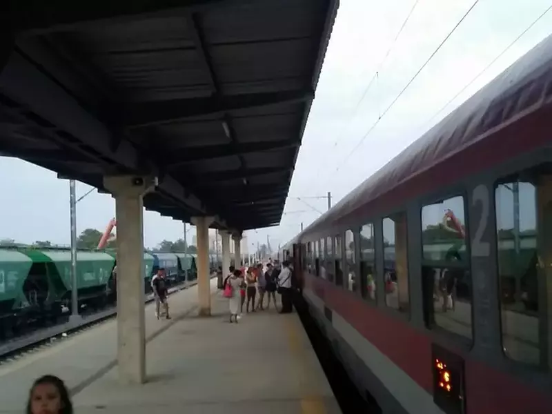 13978352_10207058116353729_1712208971_o