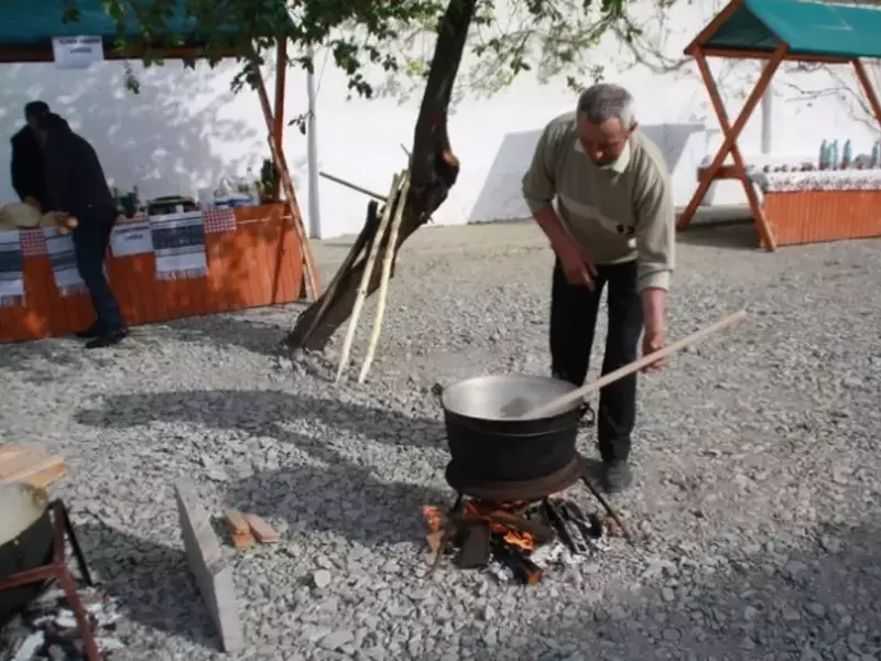 Festivalul Balmoșului (2)