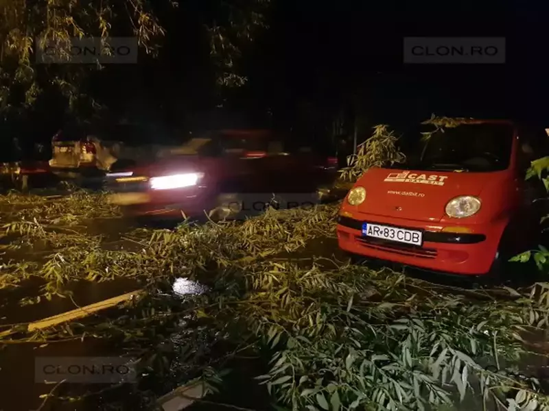 Furtună în Arad (2)