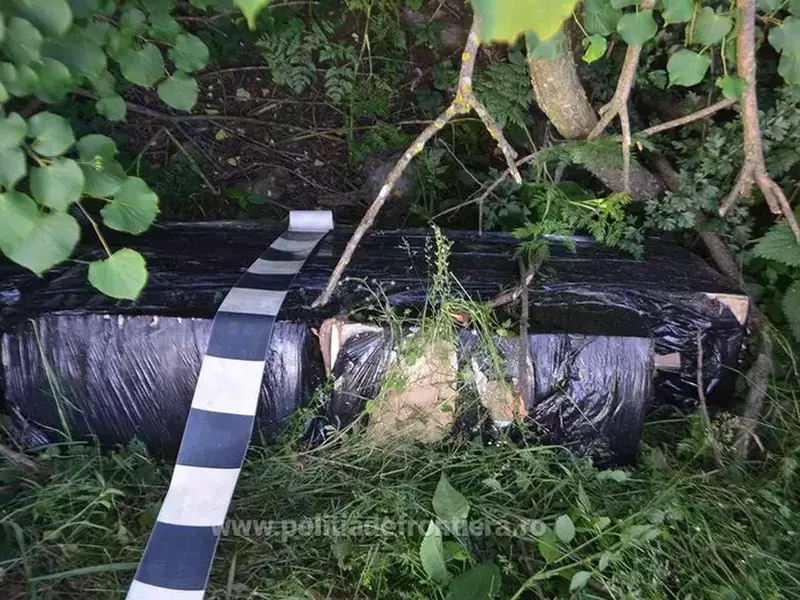 țigări transportate cu deltaplanul în Suceava