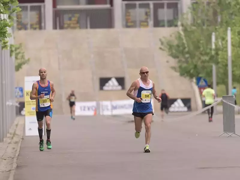 20526608_1475795785811853_987729807_n