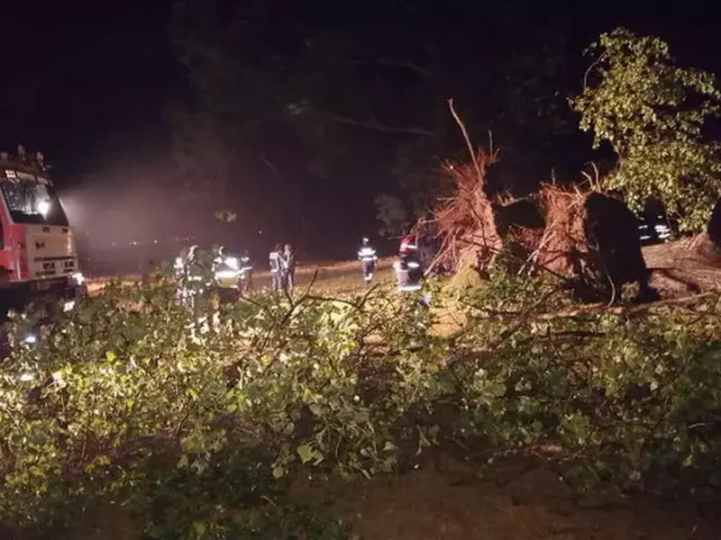 furtuna_camping_bihor_sursa_ebihoreanul (2)