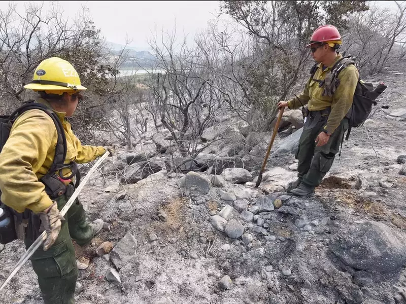 Incendii de proporții în California