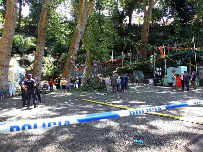 Tragedie în Madeira, 12 oameni au murit după ce un copac a căzut peste ei