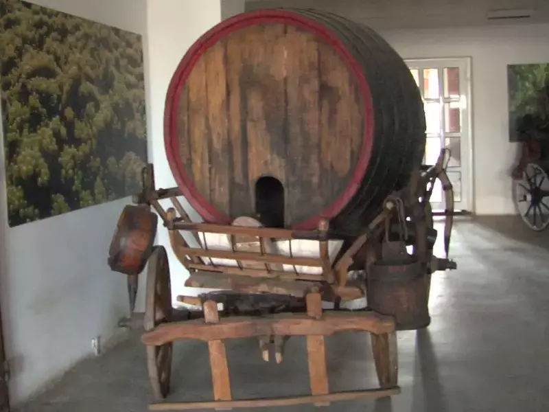 cadoul lui Nicolae Ceaușescu aleea lui Ceaușescu 1