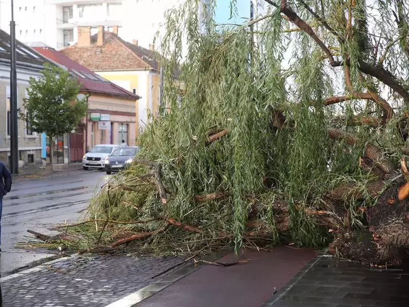 furtuna in Cluj (1)