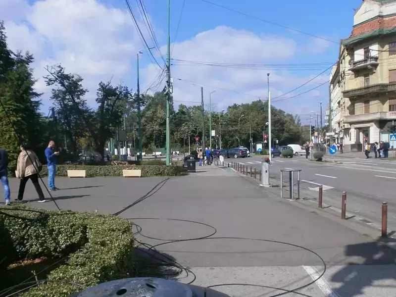 cabluri pe jos timisoara dupa furtuna (1)