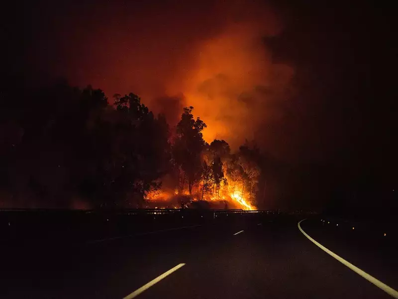 Incendii de vegetație în Spania, Galicia