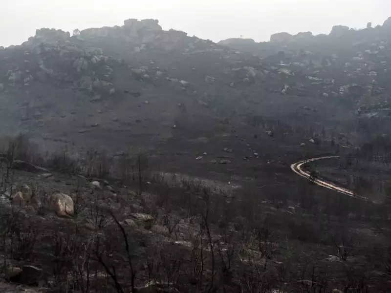 incendii Galicia, Spania