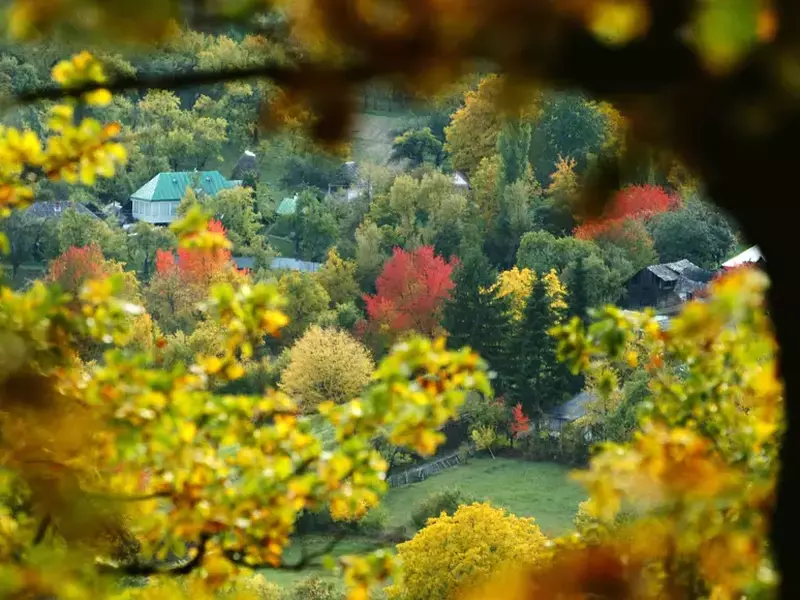 tărâmul de poezie al lui Mihai Eminescu – Codrii de aramă și Pădurea de argint (1)