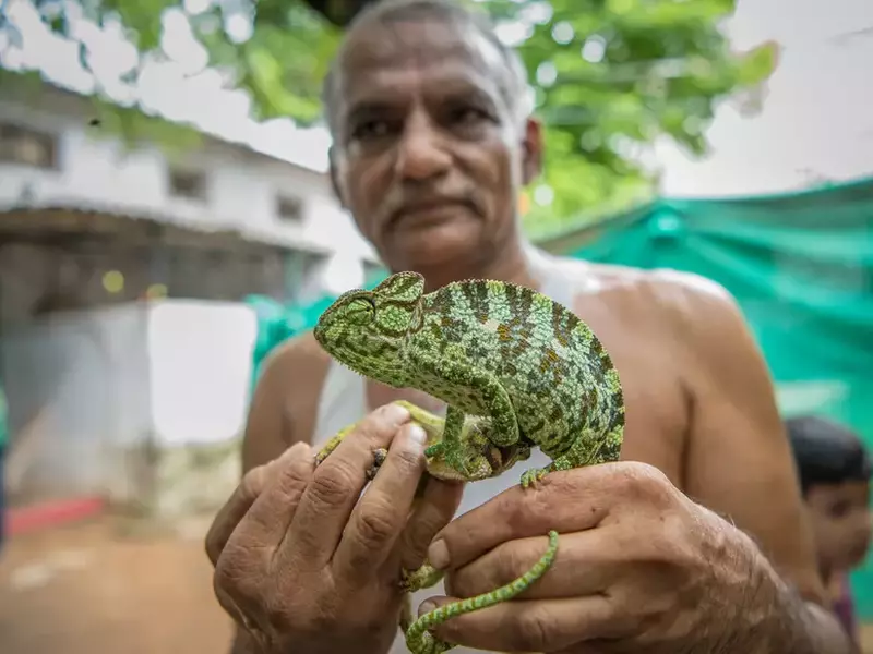Prakash Amte a salvat peste 100 de animale sălbatice, având un sanctuar