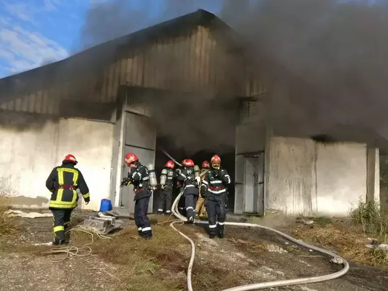 incendiu depozit tulcea 2