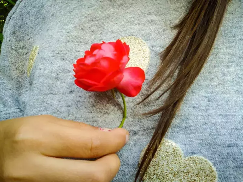 love is all we need expozitie 1