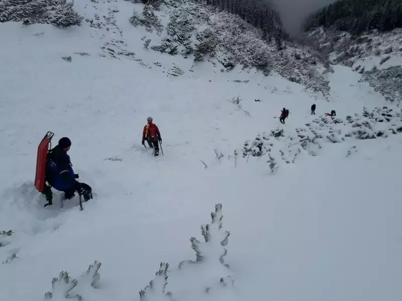 WhatsApp Image 2017-12-01 at 16.40.07