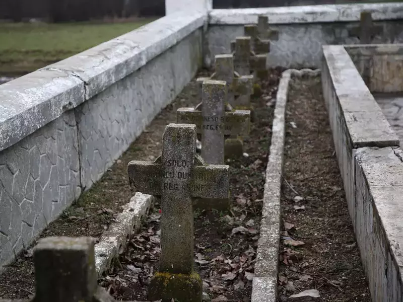 sarja de la prunaru (35)