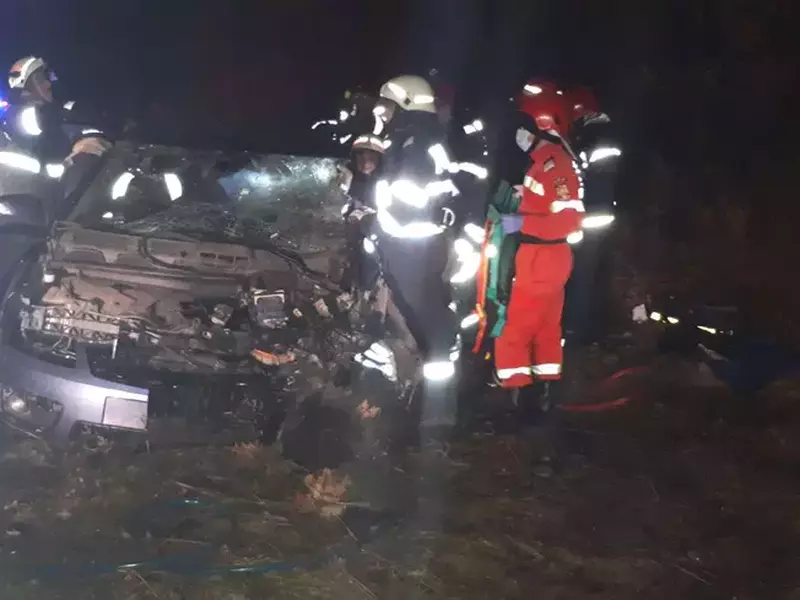 UPDATE: Copil în stop cardio-respirator și trei adulți încarcerați, într-un accident cumplit în Timiș. Copilul a murit/ FOTO