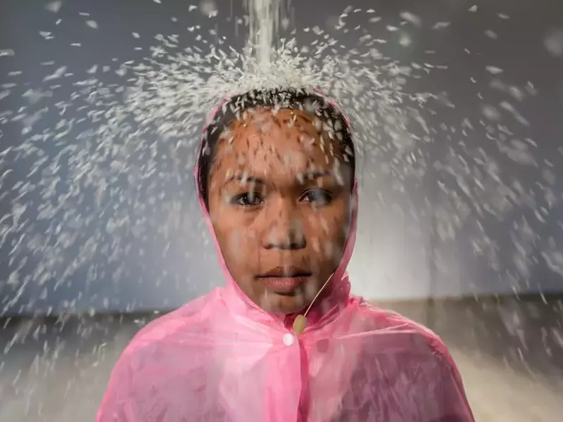 Produse Domestice COVER