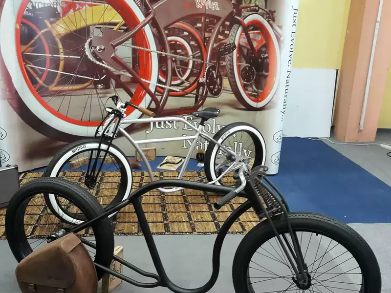 Salonul Bicicletei 2018 (1)