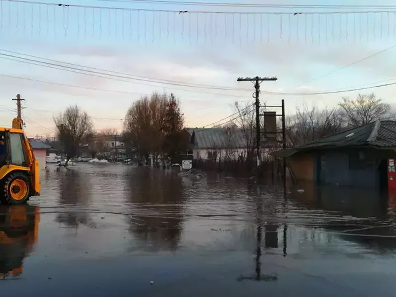 Wainundatii Teleorman hatsApp Image 2018-03-08 at 09.55.59