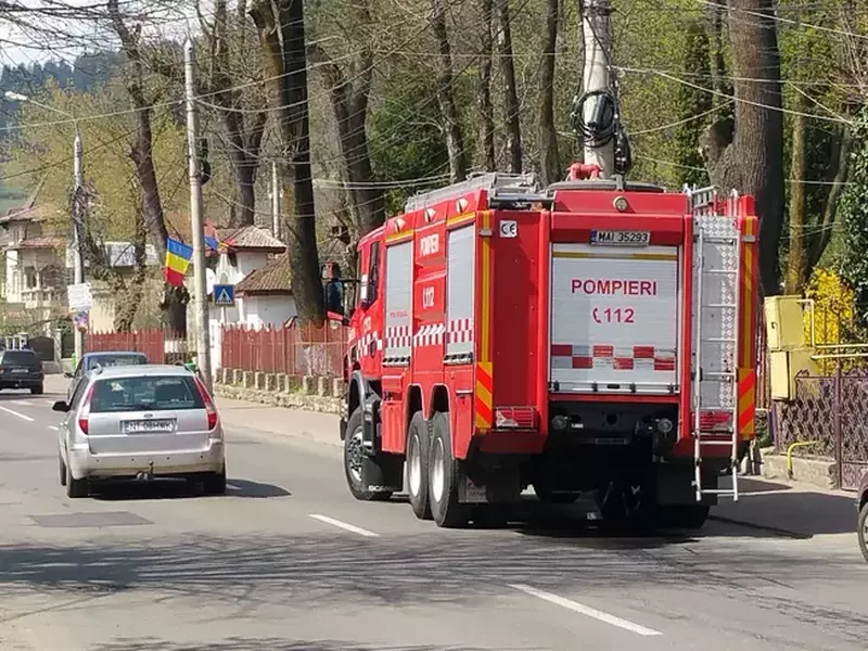 O maimuță a evadat de la grădina zoologică din Piatra Neamț (1)