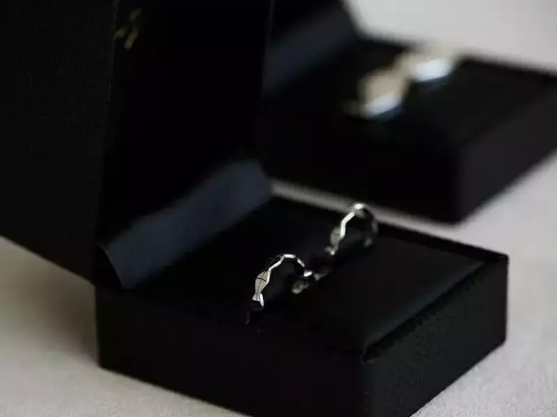 Cadoul Familiei Regale a României pentru nunta Prințului Harry (5)