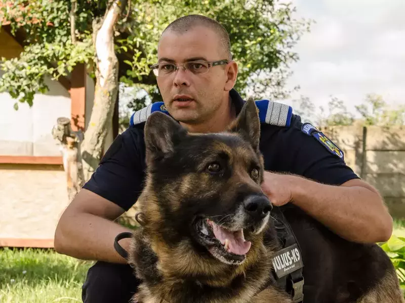 Mabanu Catalin Schipor (4)