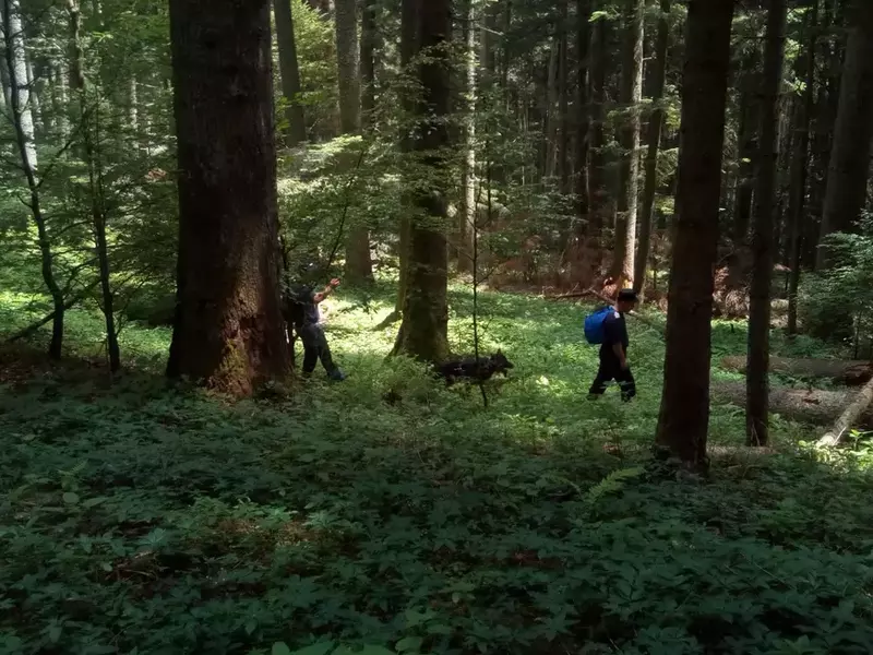 Turistul american dispărut în Bucegi în timpul unui zbor cu parapanta a fost localizat. Nu se știe dacă mai este în viață